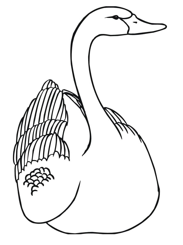 Free printable Swan coloring page #185222 from Animals collection