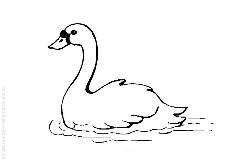 Coloring page: Swan (Animals) #4995 - Free Printable Coloring Pages