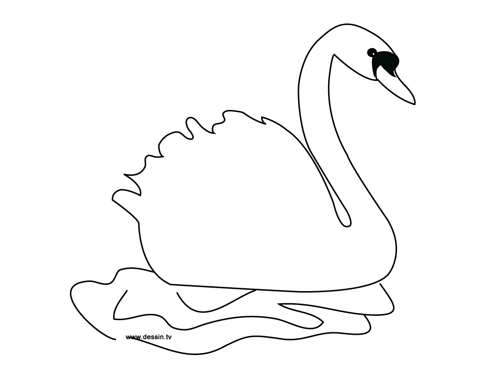 Coloring page: Swan (Animals) #4996 - Free Printable Coloring Pages
