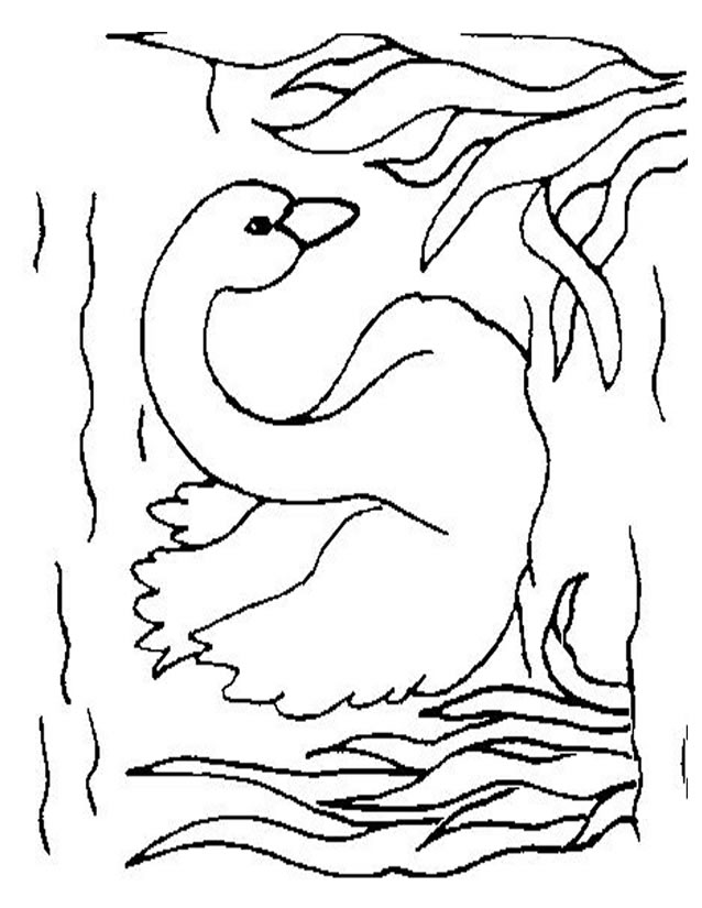 Coloring page: Swan (Animals) #5009 - Free Printable Coloring Pages