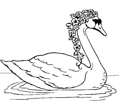 Coloring page: Swan (Animals) #5026 - Free Printable Coloring Pages