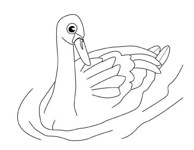 Coloring page: Swan (Animals) #5029 - Free Printable Coloring Pages
