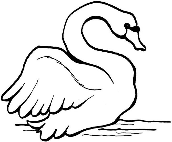 Coloring page: Swan (Animals) #5033 - Free Printable Coloring Pages