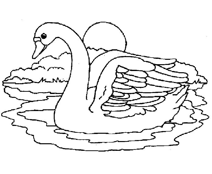 Coloring page: Swan (Animals) #5055 - Free Printable Coloring Pages