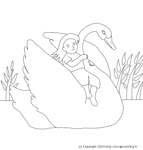 Coloring page: Swan (Animals) #5057 - Free Printable Coloring Pages
