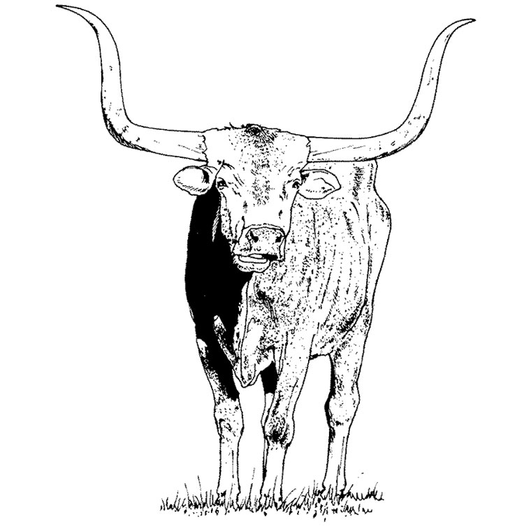 Coloring page: Taurus (Animals) #13788 - Free Printable Coloring Pages