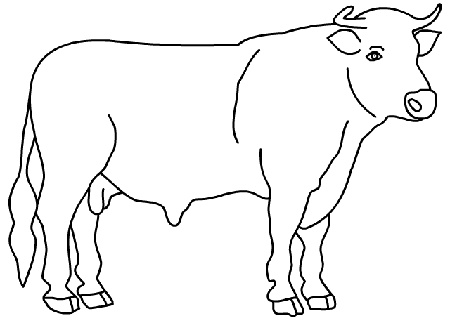 Coloring page: Taurus (Animals) #13789 - Free Printable Coloring Pages