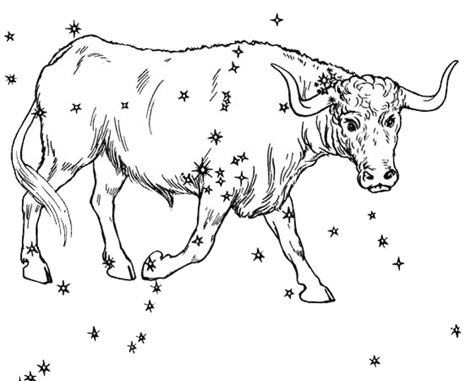 Coloring page: Taurus (Animals) #13791 - Free Printable Coloring Pages