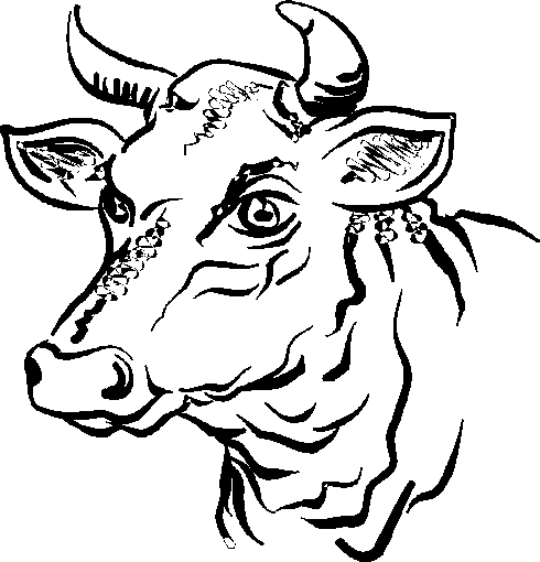Coloring page: Taurus (Animals) #13845 - Free Printable Coloring Pages
