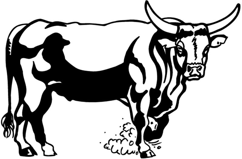 Coloring pages Taurus (Animals) – Printable Coloring Pages
