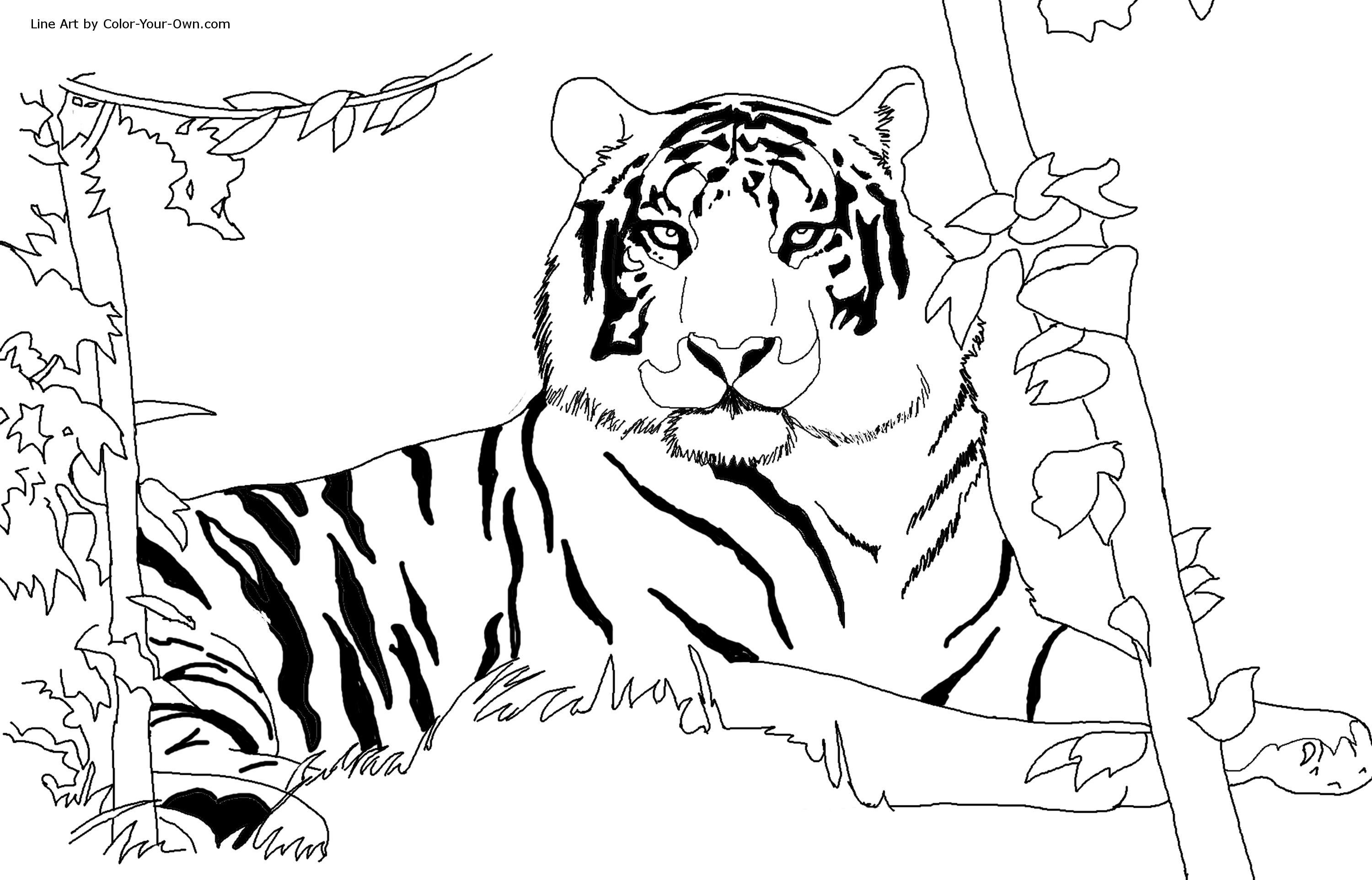 Coloring page: Tiger (Animals) #13590 - Free Printable Coloring Pages
