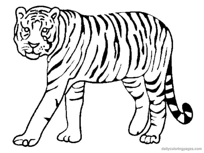 Coloring page: Tiger (Animals) #13591 - Free Printable Coloring Pages