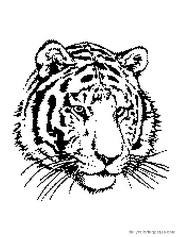 Coloring page: Tiger (Animals) #13592 - Free Printable Coloring Pages