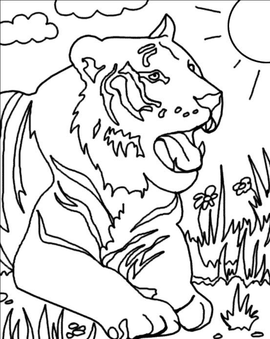 Coloring page: Tiger (Animals) #13602 - Free Printable Coloring Pages