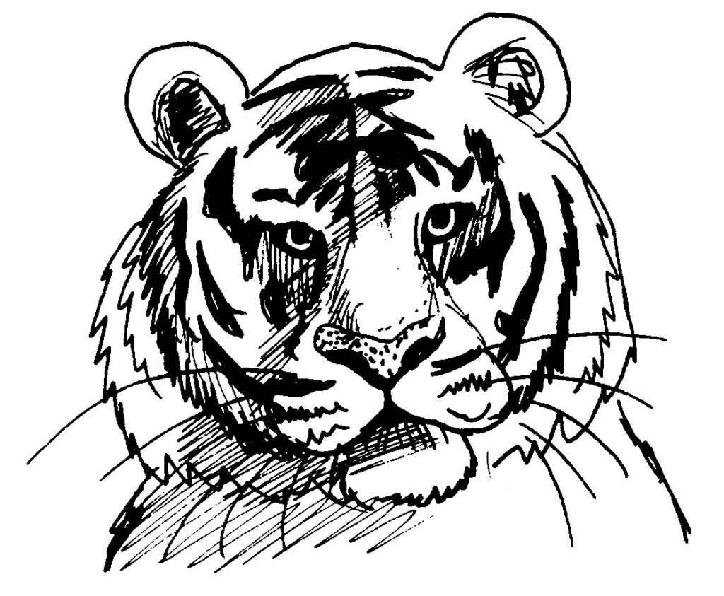 Coloring page: Tiger (Animals) #13610 - Free Printable Coloring Pages