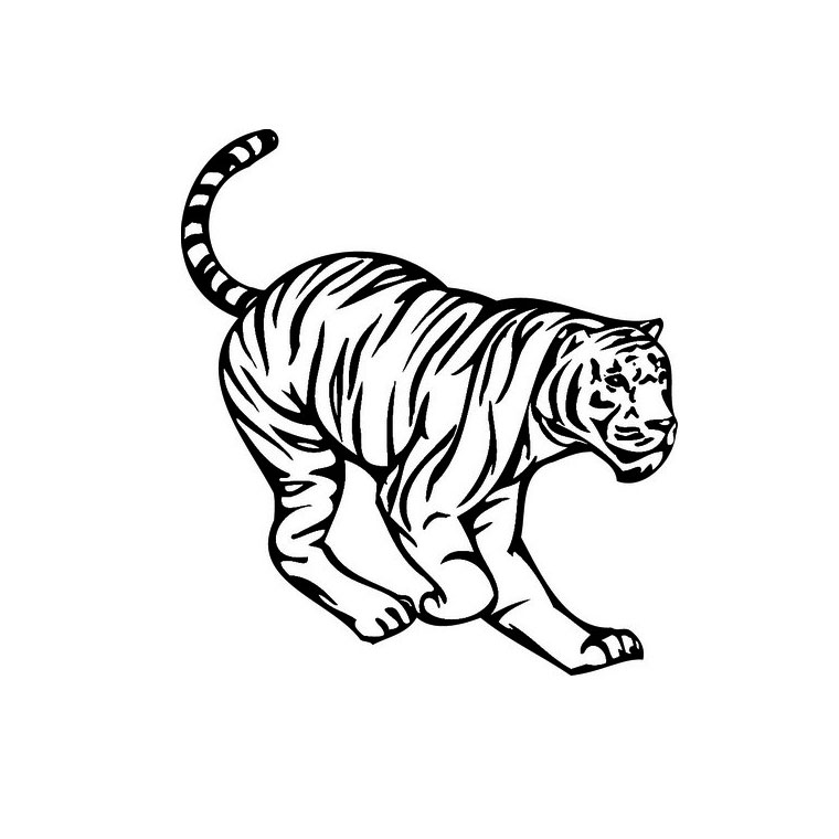 Coloring page: Tiger (Animals) #13611 - Free Printable Coloring Pages