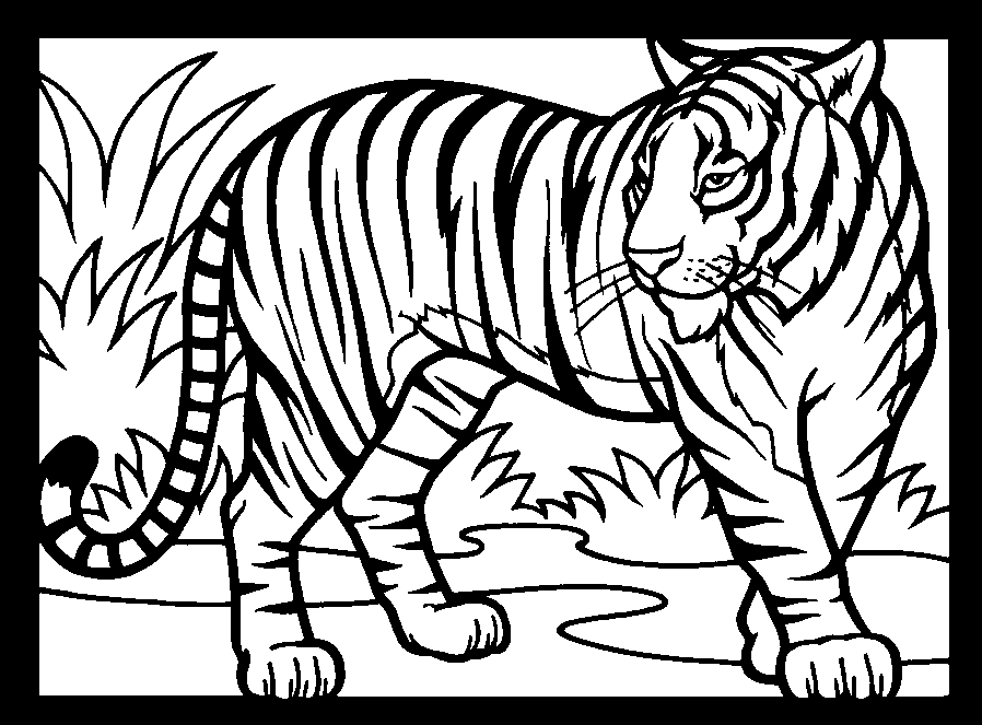 Coloring page: Tiger (Animals) #13615 - Free Printable Coloring Pages