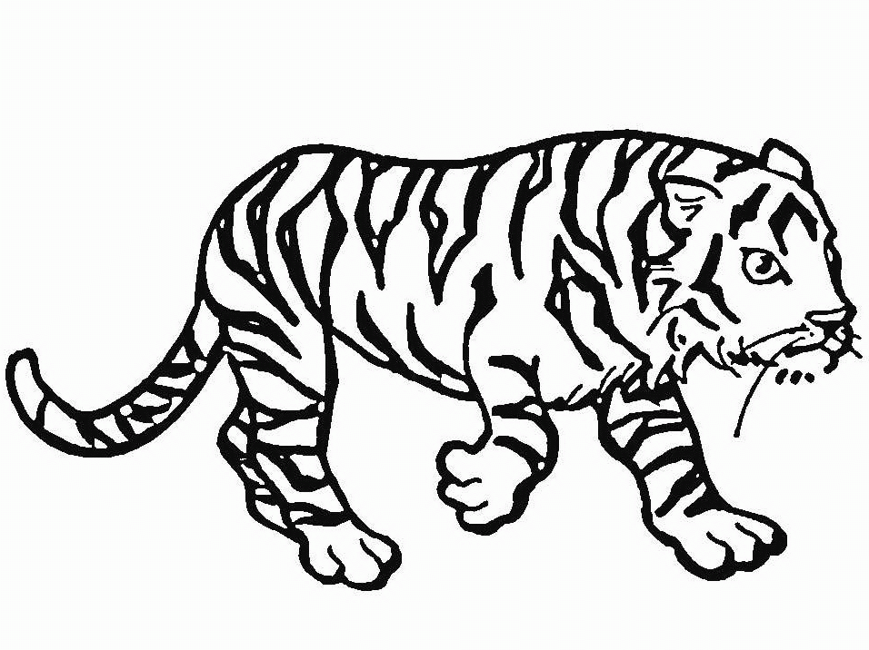 Coloring page: Tiger (Animals) #13629 - Free Printable Coloring Pages