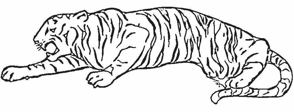 Coloring page: Tiger (Animals) #13637 - Free Printable Coloring Pages