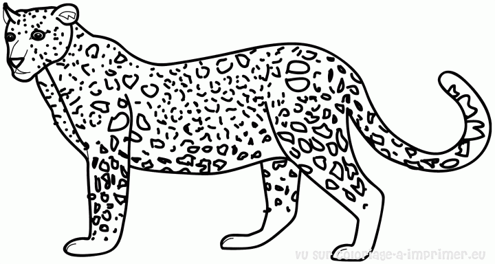 Coloring page: Tiger (Animals) #13649 - Free Printable Coloring Pages