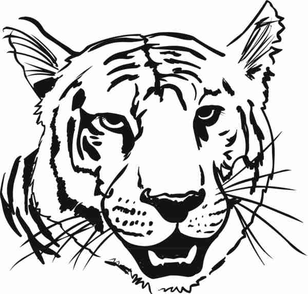 Coloring page: Tiger (Animals) #13666 - Free Printable Coloring Pages