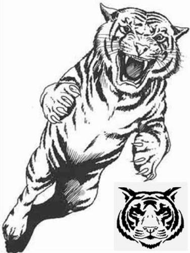 Coloring page: Tiger (Animals) #13672 - Free Printable Coloring Pages