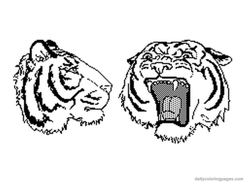 Coloring page: Tiger (Animals) #13697 - Free Printable Coloring Pages