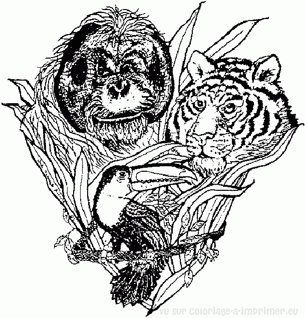 Coloring page: Tiger (Animals) #13756 - Free Printable Coloring Pages