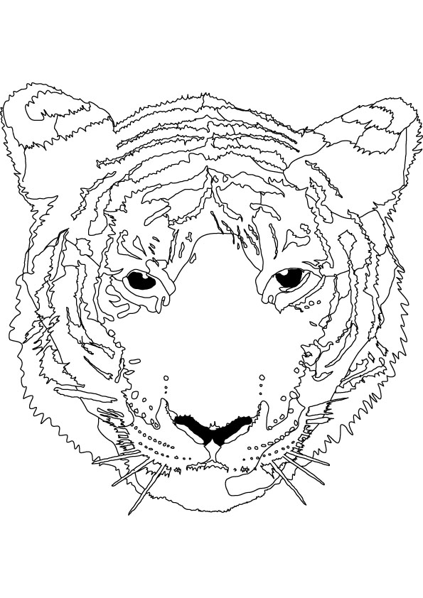 Coloring page: Tiger (Animals) #13771 - Free Printable Coloring Pages