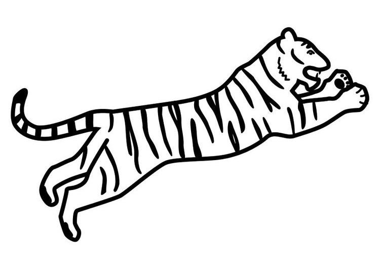 Coloring page: Tiger (Animals) #13780 - Free Printable Coloring Pages