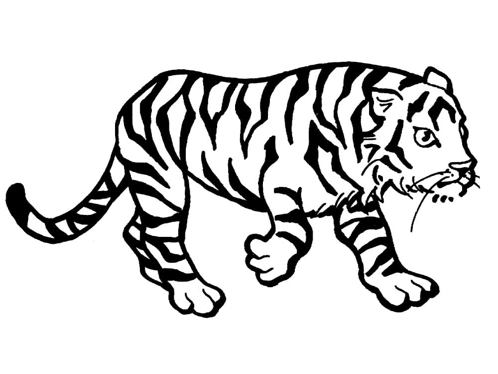 Free printable Tiger coloring page #174912 from Animals collection Free printable Tiger coloring page #174912 from Animals collection