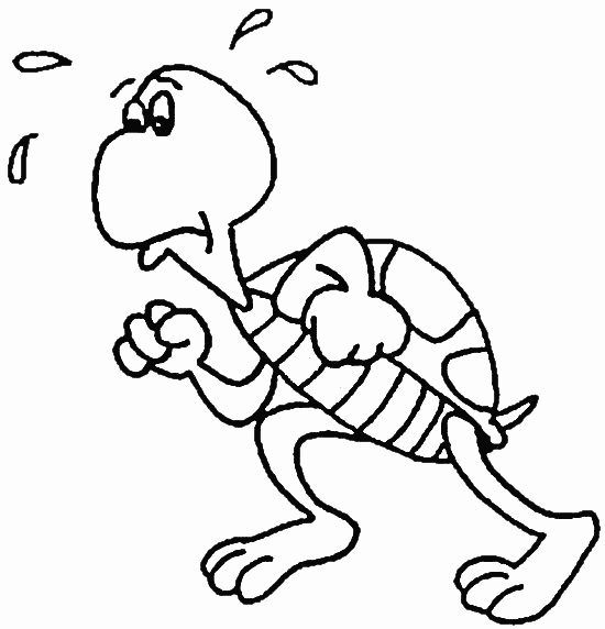 Coloring page: Tortoise (Animals) #13389 - Free Printable Coloring Pages