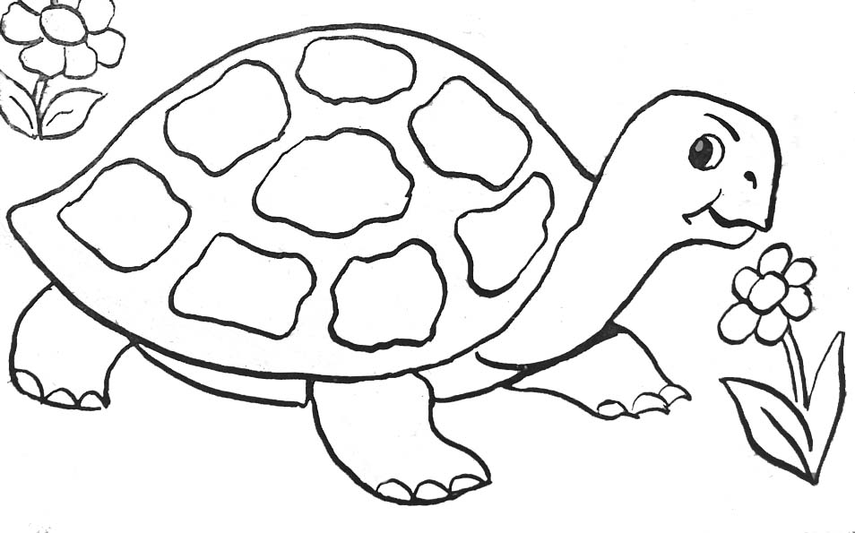 Coloring page: Tortoise (Animals) #13391 - Free Printable Coloring Pages