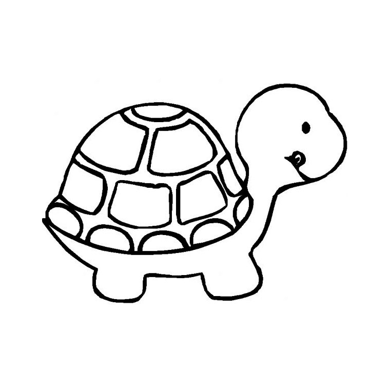 Coloring page: Tortoise (Animals) #13392 - Free Printable Coloring Pages