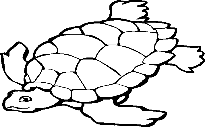 Coloring page: Tortoise (Animals) #13396 - Free Printable Coloring Pages