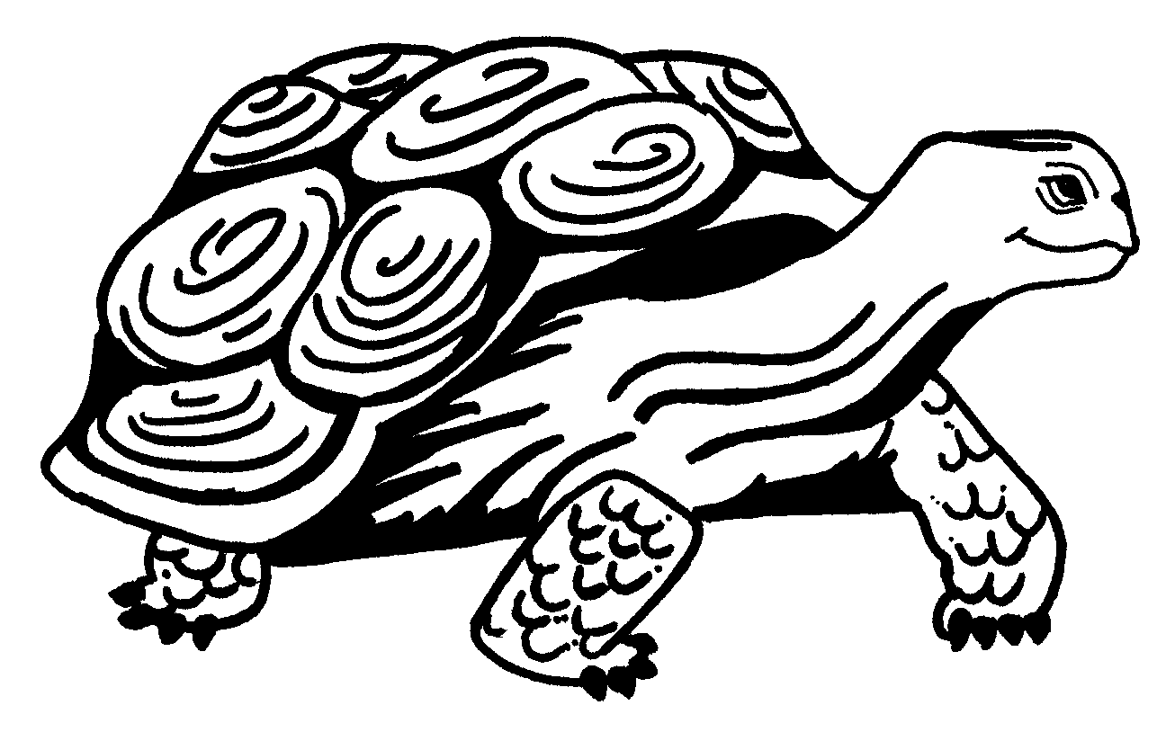 Drawing Tortoise #13403 (Animals) – Printable coloring pages