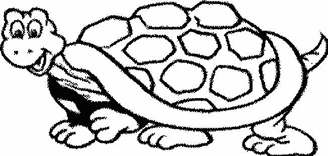 Coloring page: Tortoise (Animals) #13406 - Free Printable Coloring Pages