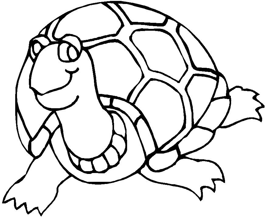 Aavishkar Kids - Activity#3 Draw Tortoise using shapes Materials required  1. A4 size paper 2. Color pencils Method: Using circles and semi circles  draw a tortoise, and colour accordingly. See the picture