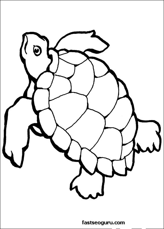 Coloring page: Tortoise (Animals) #13429 - Free Printable Coloring Pages