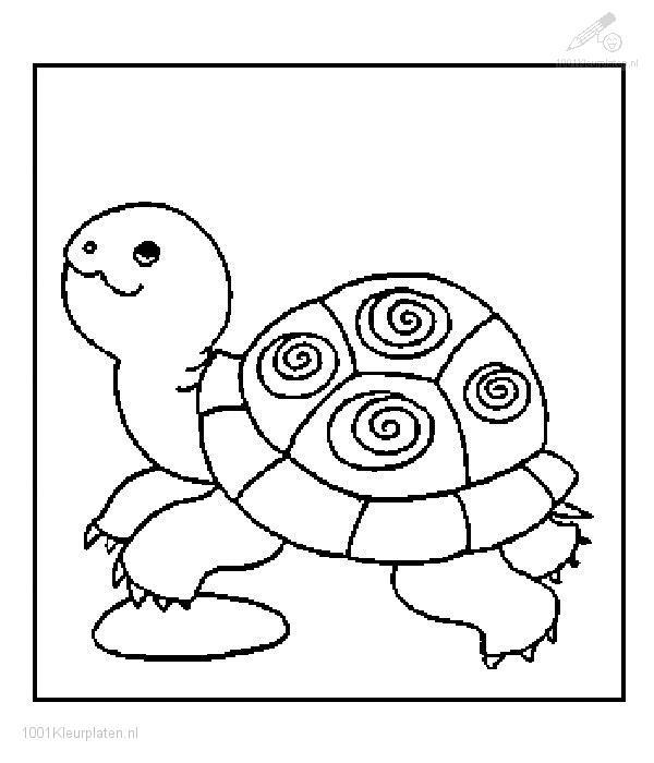 Coloring page: Tortoise (Animals) #13432 - Free Printable Coloring Pages