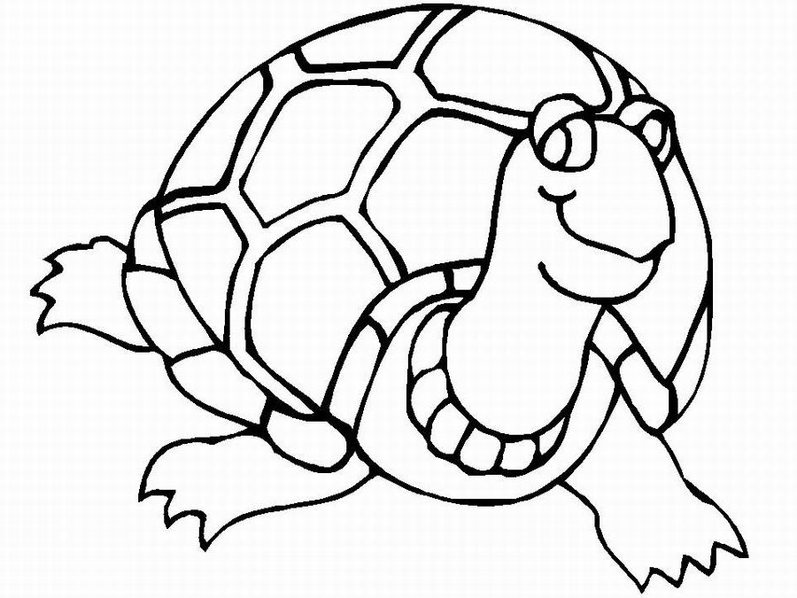 Coloring page: Tortoise (Animals) #13448 - Free Printable Coloring Pages