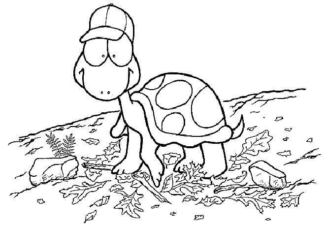 Coloring page: Tortoise (Animals) #13465 - Free Printable Coloring Pages
