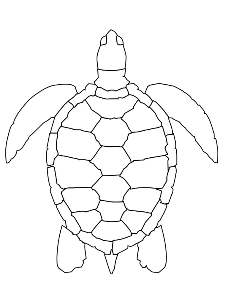 Coloring page: Tortoise (Animals) #13467 - Free Printable Coloring Pages