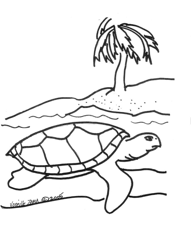 Drawing Tortoise #13469 (Animals) – Printable coloring pages