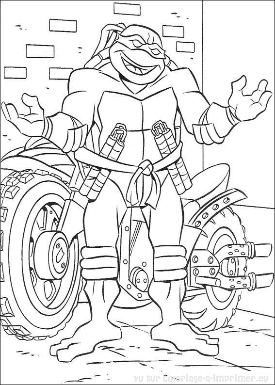 Coloring page: Tortoise (Animals) #13475 - Free Printable Coloring Pages