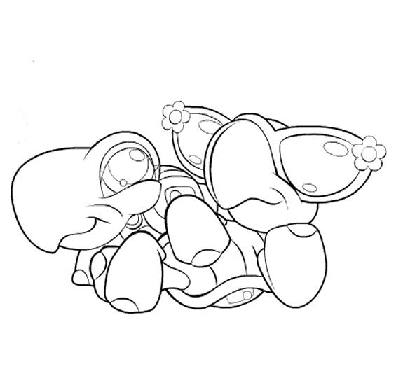 Coloring page: Tortoise (Animals) #13531 - Free Printable Coloring Pages