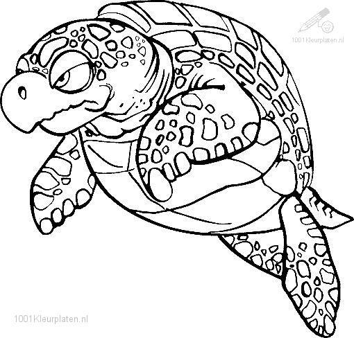 Coloring page: Tortoise (Animals) #13536 - Free Printable Coloring Pages