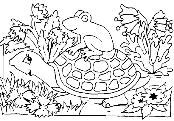 Coloring page: Tortoise (Animals) #13557 - Free Printable Coloring Pages