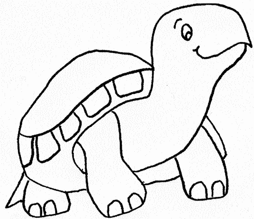 Coloring page: Tortoise (Animals) #13580 - Free Printable Coloring Pages