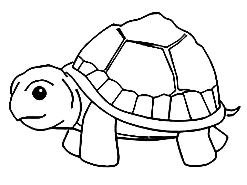 Free printable Tortoise coloring page #180089 from Animals collection